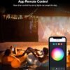 Wifi Bluetooth LED Fairy String Lights RGB 10M